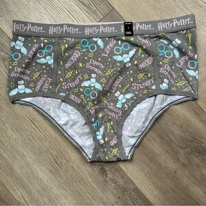 Torrid Harry Potter Gray and Blue Women’s Underwear